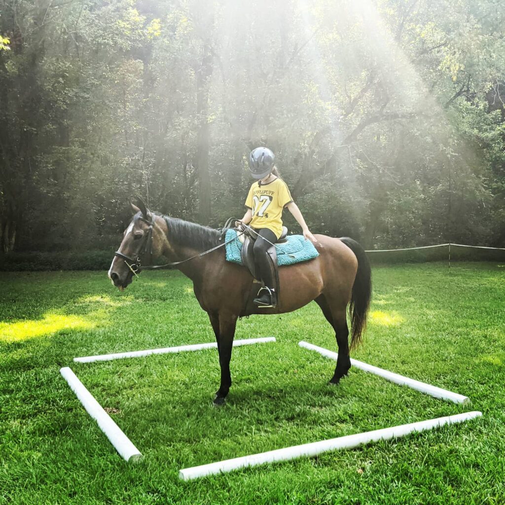 Molly Grue halt and salute 