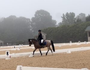 Hermes doing dressage