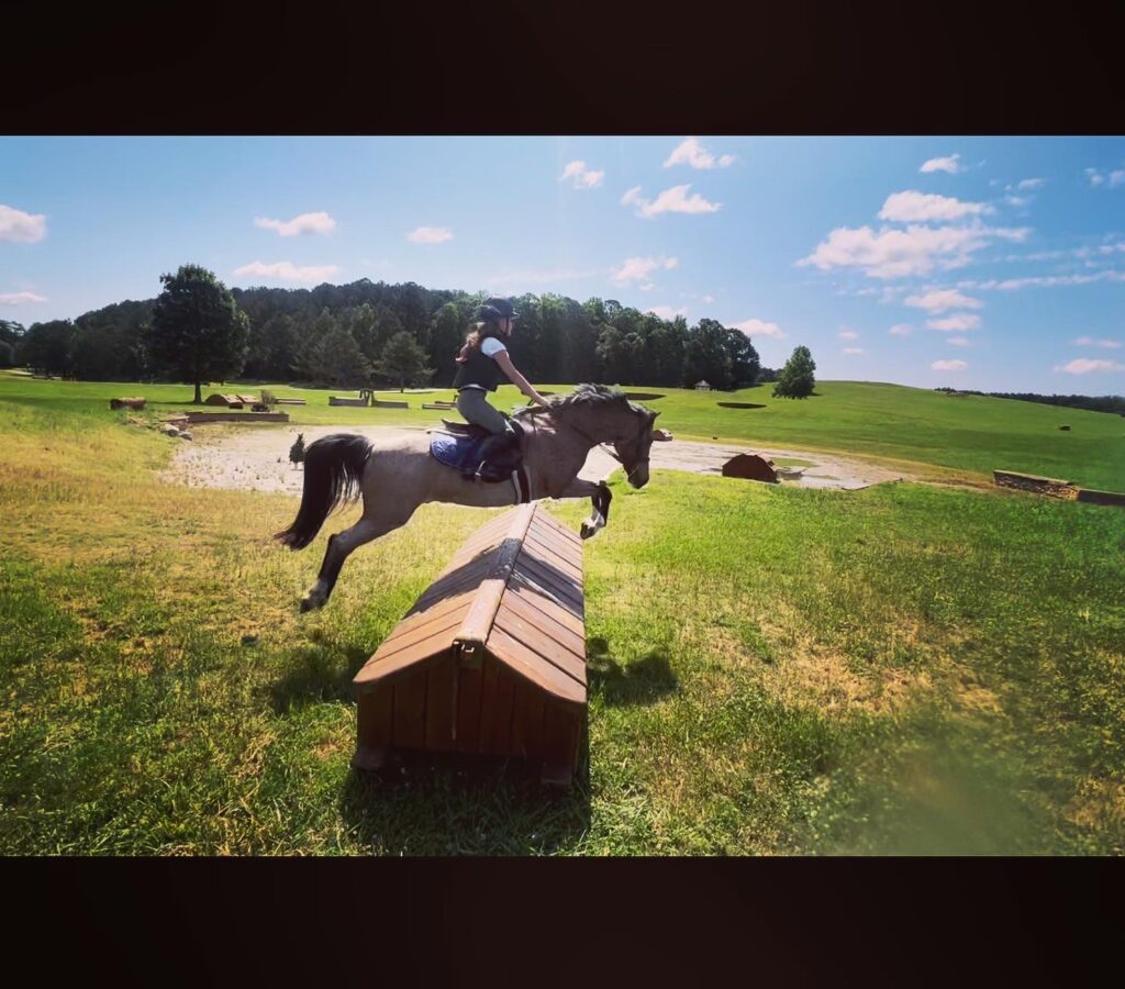 Hermes cross country schooling